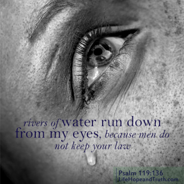Mourning for Sin: Rivers of water run down from my eyes, because men do not keep your law.
