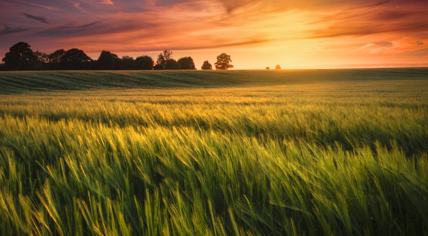 Beautiful photo of peaceful sunset over productive land to illustrate the article The Spiritual Meaning of Jubilee.