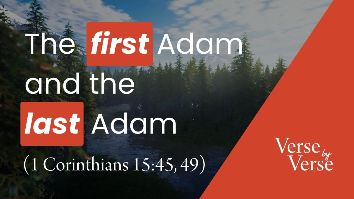 The first adam and the last adam 1 corinthians 15 45 49 
