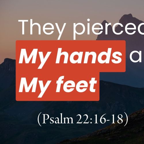 They Pierced My Hands and My Feet (Psalm 22:16-18)