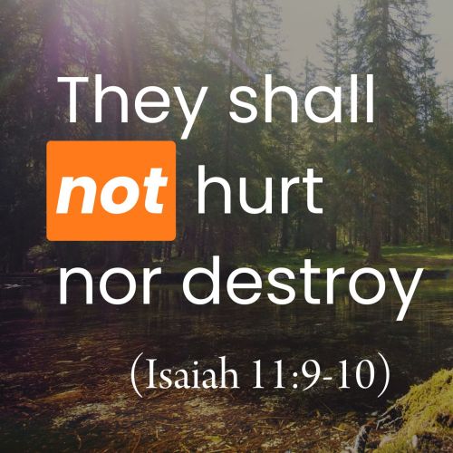 They Shall Not Hurt nor Destroy (Isaiah 11:9-10)