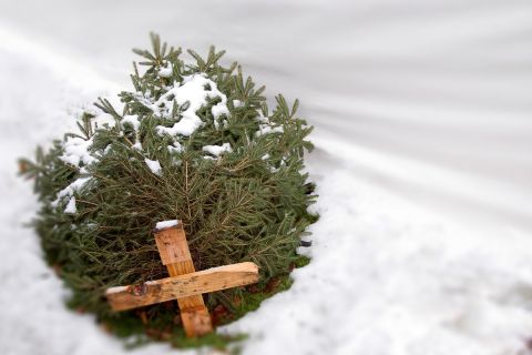We Didn’t Celebrate Christmas Last Year. Here’s Why