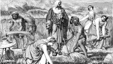 Drawing representing Ruth gathering grain while Boaz looks on to illustrate the article What Is a Kinsman-Redeemer?
