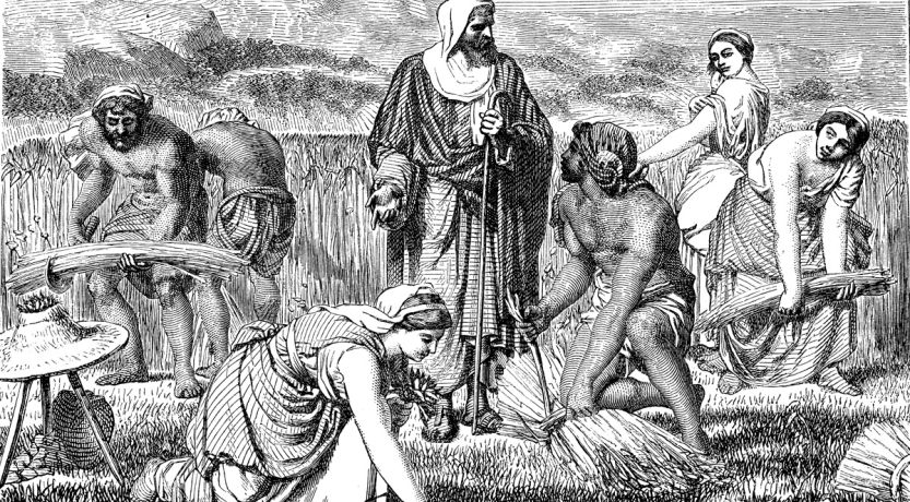Drawing representing Ruth gathering grain while Boaz looks on to illustrate the article What Is a Kinsman-Redeemer?