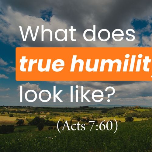 What Does True Humility Look Like? (Acts 7:60)