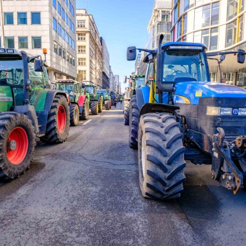Why Farmers Are Protesting Around the World