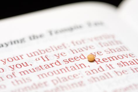 <p>Jesus chided the disciples when they showed little faith, but He also said that faith as small as a mustard seed had the power to move mountains (Matthew 17:20). We are encouraged to grow in faith.</p>