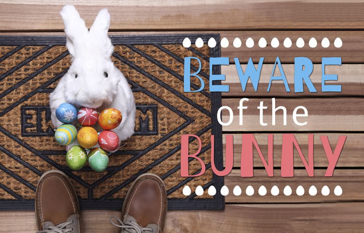 Beware of the Bunny!