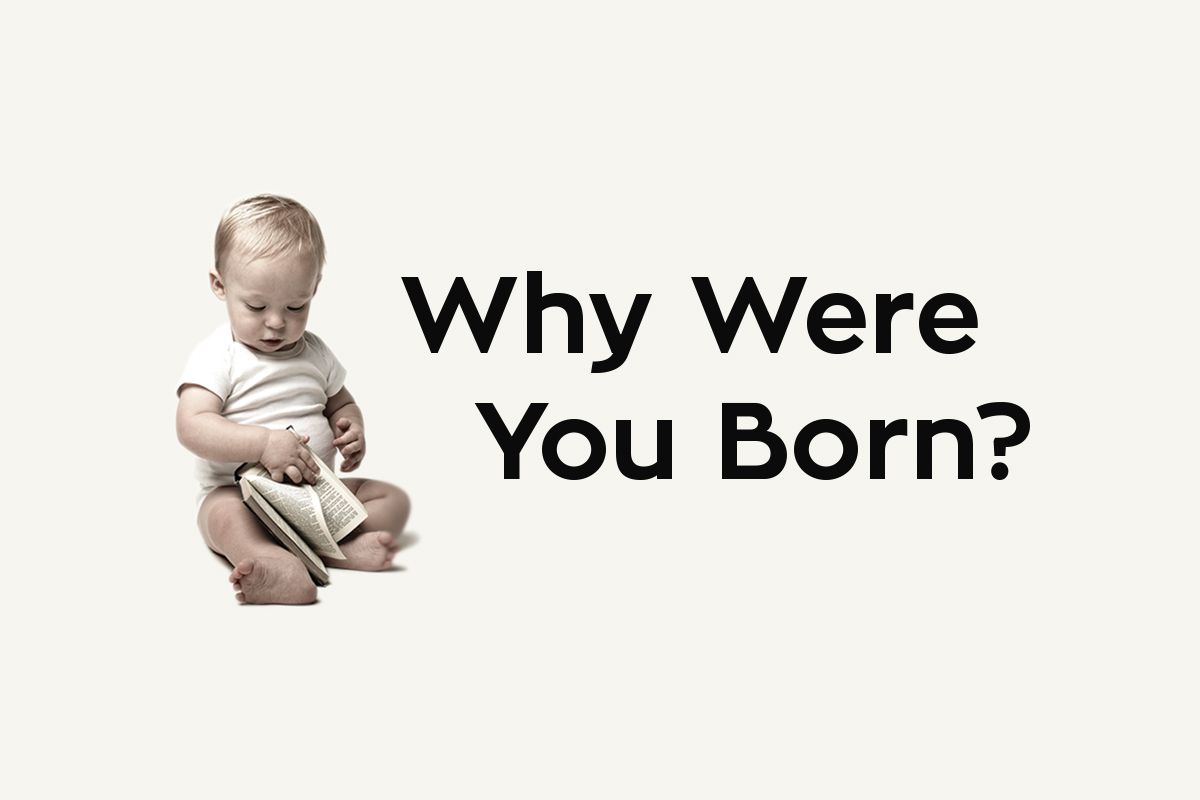 I was born last. Why were you born. Where and when were you born?. When i was born. Be born.