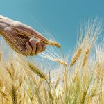 Did Jesus Keep the Sabbath Day?