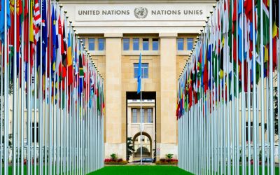 Can the United Nations Be Reformed? 