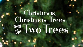 Christmas, Christmas Trees and the Two Trees 
