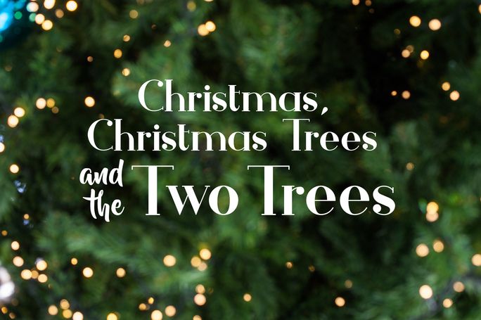 Christmas, Christmas Trees and the Two Trees 