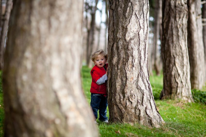 Спрятался за деревом. Мальчик спрятался за дерево. Дети прячутся за пальмовыми листами. Человек за деревом. Выглядывает из-за дерева рисунок.