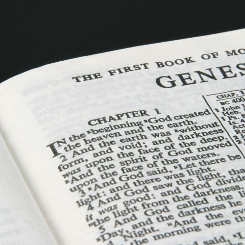 Genesis: A Book of Clarity for a Confused World