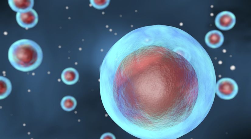 Are Single Cells Really Simple