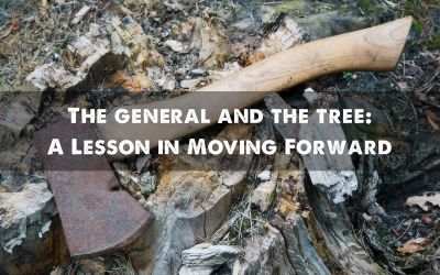 The General and the Tree: A Lesson in Moving Forward