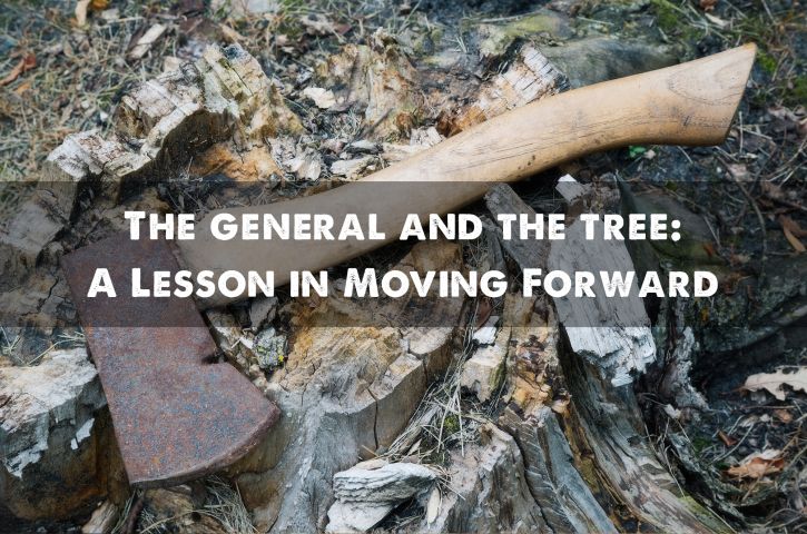 The General and the Tree: A Lesson in Moving Forward