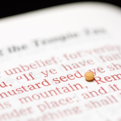 The Meaning of Matthew 17:20: “If You Have Faith as a Mustard Seed”