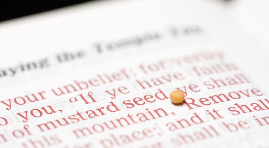 The Meaning of Matthew 17:20: “If You Have Faith as a Mustard Seed”