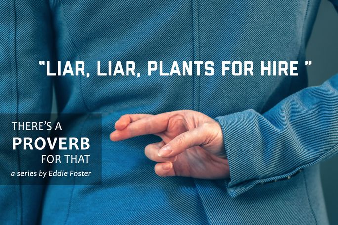 Proverb Liar Liar Plants For Hire