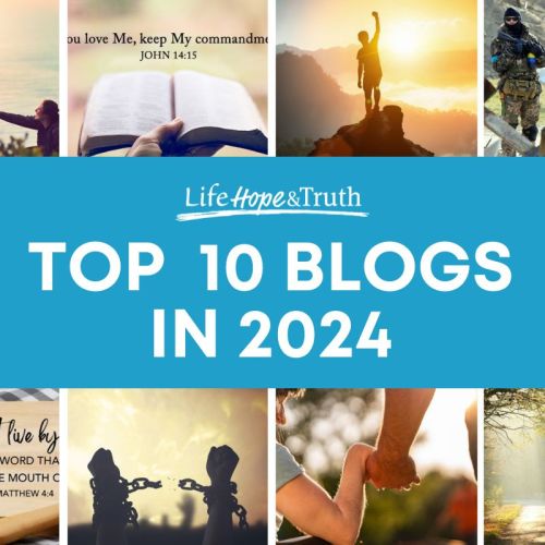 Top 10 Blog Posts of 2024