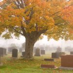 What Are the Resurrections?