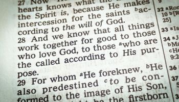 What Is the Meaning of Romans 8:28?