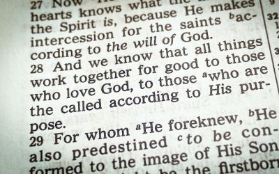 What Is the Meaning of Romans 8:28?