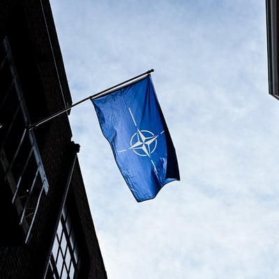 Will NATO Survive?