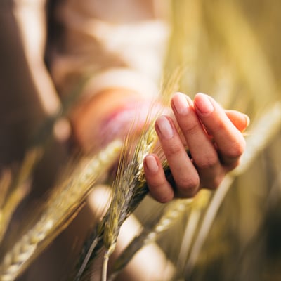 Three Important Facts About Firstfruits in the Bible