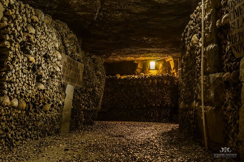 Silence, mortal beings
Walls of bones line the tunnels through the Paris catacombs.&nbsp;Photo by Tommie Hansen/CC BY 2.0