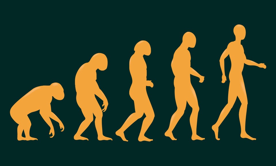 How Darwin’s Theory of Evolution Changed the World