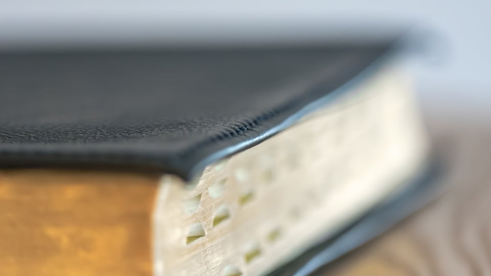 Lost in Translation: What’s Happening Under the Hood of Your Bible?