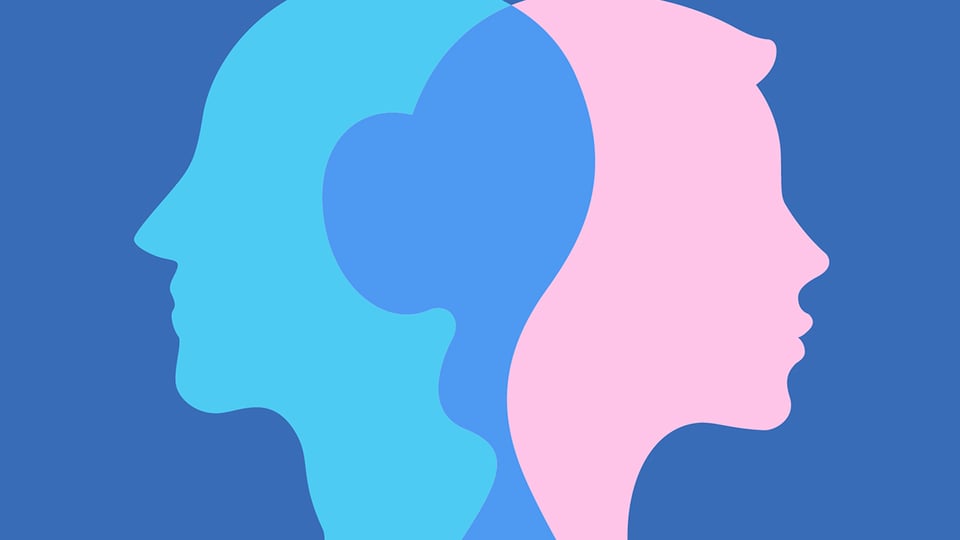 The Gender Divide: Marriage Under Attack