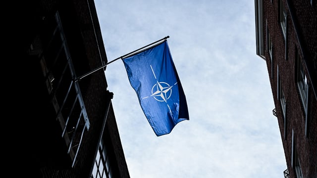 Will NATO Survive?