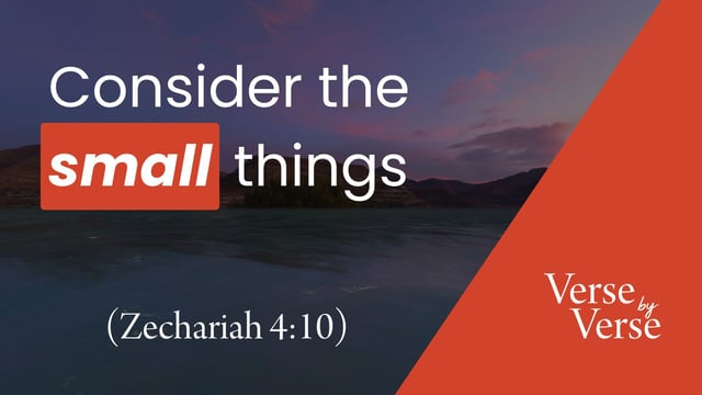 Consider the Small Things (Zechariah 4:10)