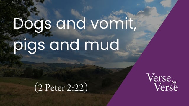 Dogs and Vomit, Pigs and Mud (2 Peter 2:22)