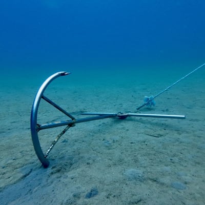 Anchors in an Unstable World