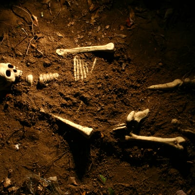 Many believe that humans existed before the creation of Adam and Eve. Considering the biblical account and the fossil evidence, who was the first man?