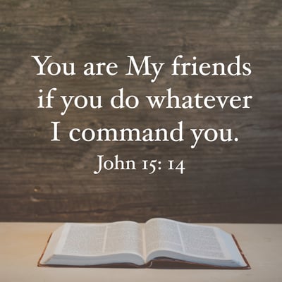 You are My friends if you do whatever I command you.
