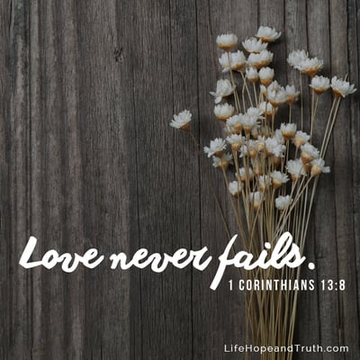 Love never fails.