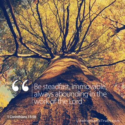 Be steadfast, immovable, always abounding in the work of the Lord.