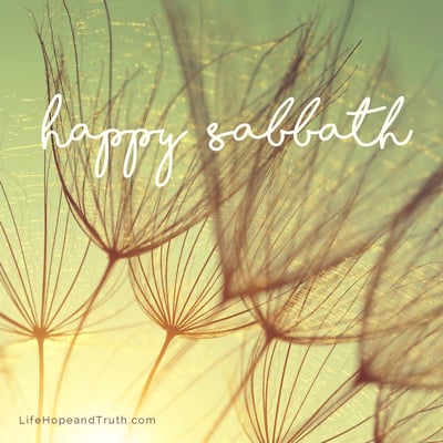 Happy Sabbath. The Sabbath command creates deadlines and a startling contrast. After we work hard for six days, we are blessed with time to rest and be rejuvenated physically, mentally and spiritually. 