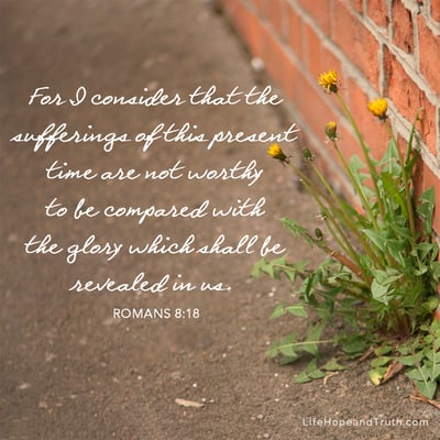 For I consider that the sufferings of this present time are not worthy to be compared with the glory which shall be revealed in us.