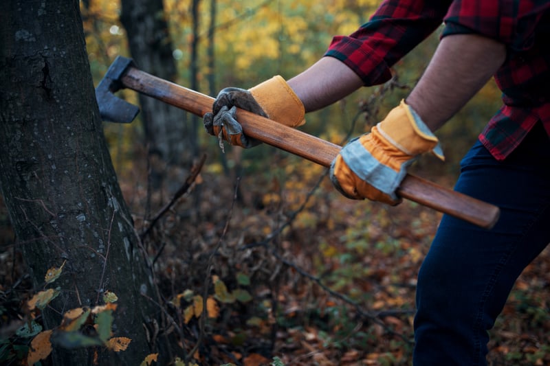 <p>&ldquo;Every tree that does not bear good fruit is cut down and thrown into the fire&rdquo; (Matthew 7:19).</p>