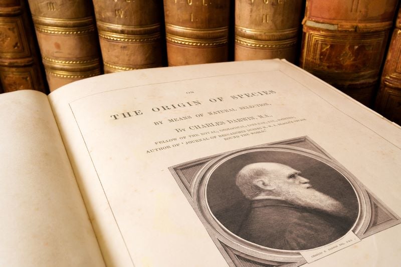 <p>Charles&nbsp;Darwin&rsquo;s book sought to explain the variety of life-forms, from simple to complex, through natural processes entirely.</p>