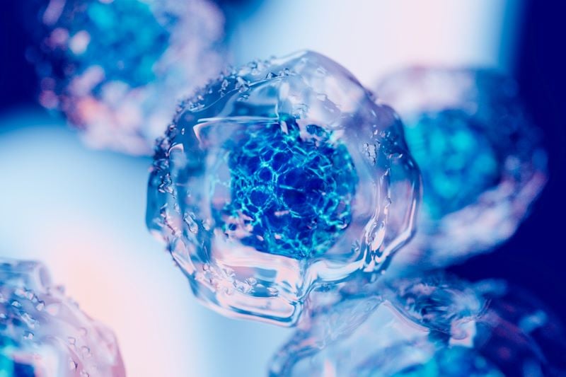 <p>Scientists have discovered that even single cells&nbsp;are very complex.</p>