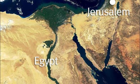 The King of the South