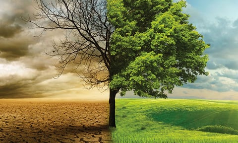 Water in Bible Prophecy